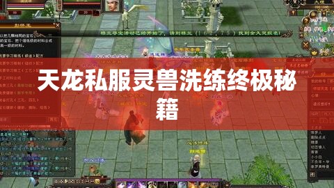 天龙私服灵兽洗练终极秘籍 天龙私服灵兽洗练终极秘籍