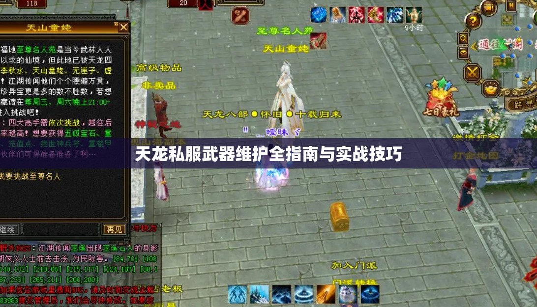 天龙私服武器维护全指南与实战技巧 天龙私服武器维护全指南与实战技巧