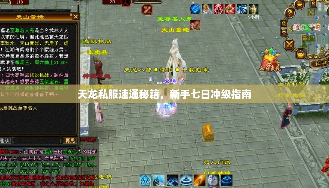 天龙私服速通秘籍,新手七日冲级指南 天龙私服速通秘籍,新手七日冲级指南