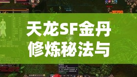 天龙SF金丹修炼秘法与八部技能组合指南 天龙SF金丹修炼秘法与八部技能组合指南