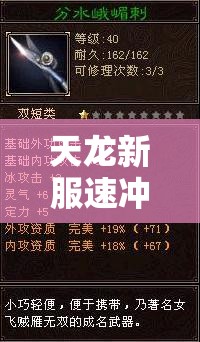 天龙新服速冲技巧与腾讯版冲级攻略