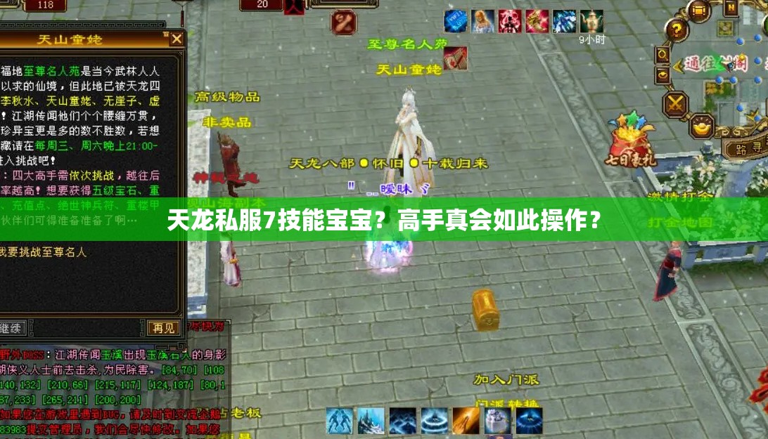 天龙私服7技能宝宝?高手真会如此操作? 天龙私服7技能宝宝?高手真会如此操作?