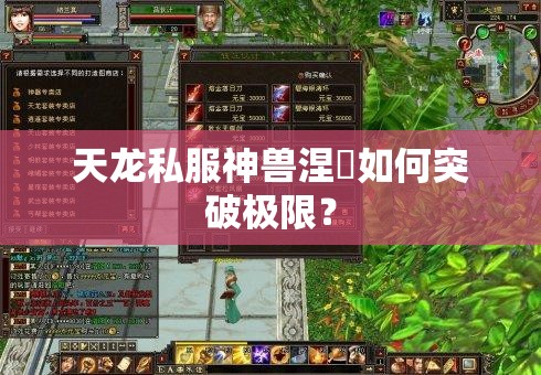 天龙私服神兽涅槃如何突破极限? 天龙私服神兽涅槃如何突破极限?