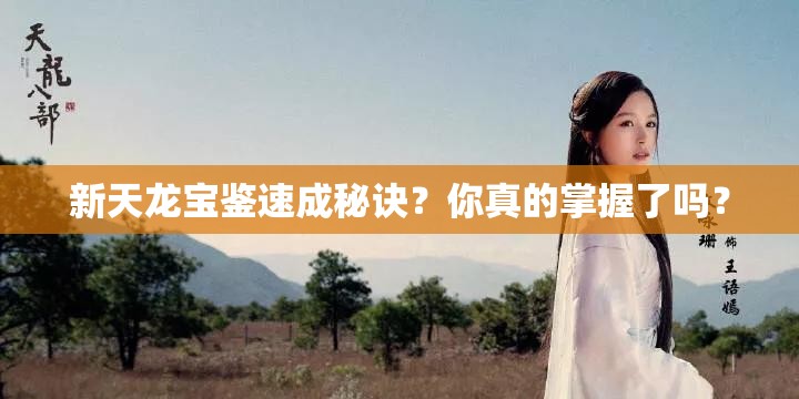 新天龙宝鉴速成秘诀?你真的掌握了吗? 新天龙宝鉴速成秘诀?你真的掌握了吗?