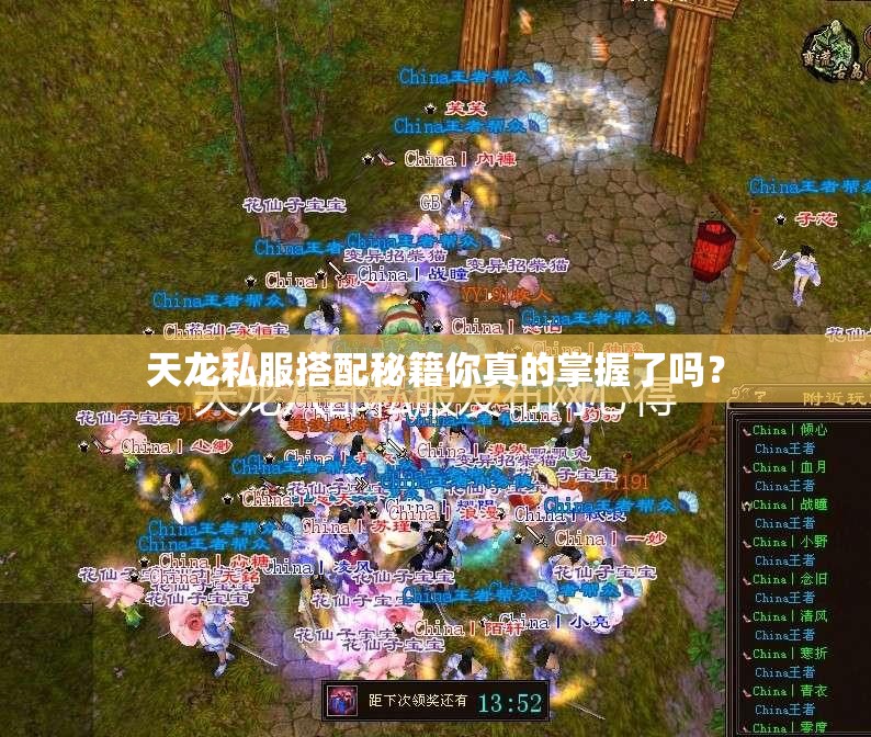 天龙私服搭配秘籍你真的掌握了吗？