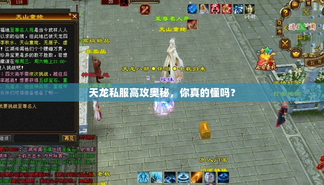 天龙私服高攻奥秘,你真的懂吗? 天龙私服高攻奥秘,你真的懂吗?