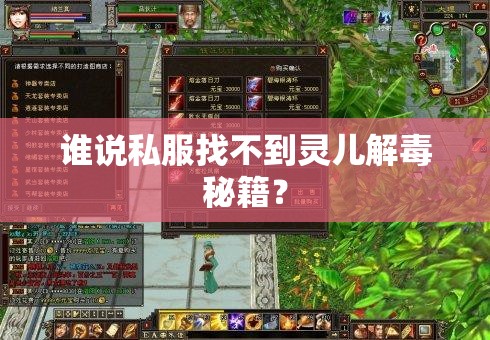 谁说私服找不到灵儿解毒秘籍? 谁说私服找不到灵儿解毒秘籍?