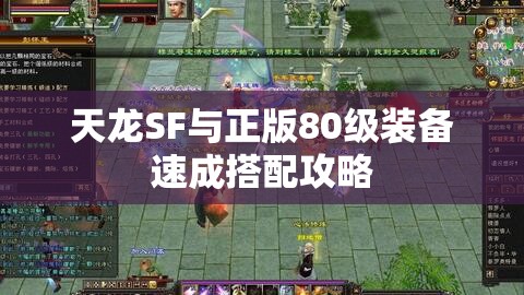 天龙SF与正版80级装备速成搭配攻略 天龙SF与正版80级装备速成搭配攻略