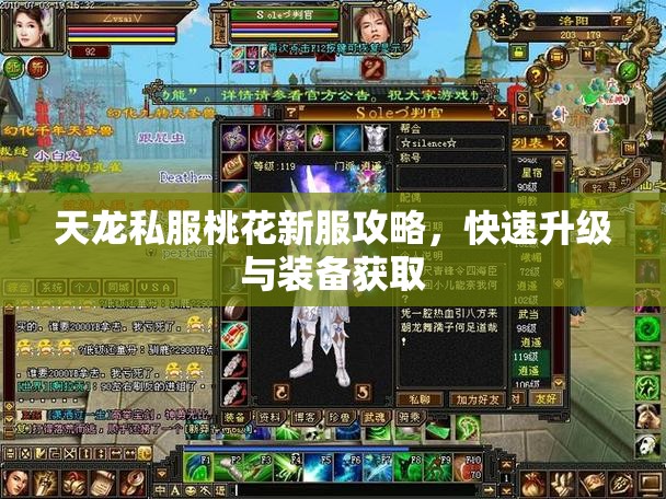 天龙私服桃花新服攻略,快速升级与装备获取 天龙私服桃花新服攻略,快速升级与装备获取