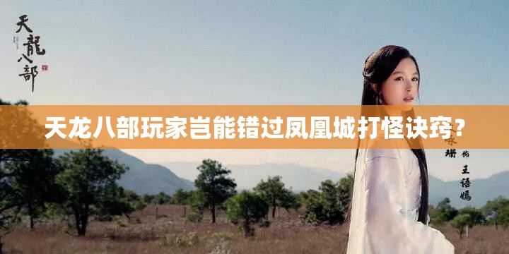 天龙八部玩家岂能错过凤凰城打怪诀窍? 天龙八部玩家岂能错过凤凰城打怪诀窍?