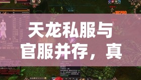 天龙私服与官服并存,真能赚钱? 天龙私服与官服并存,真能赚钱?
